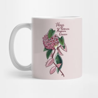 Hoya carnosa Krimson Queen in bloom Mug